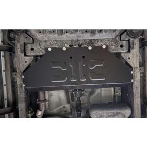 photo Защита РК - OTING Paladin (2024 -) г. ( арт: 73.6269 )