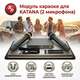 Модуль караоке для KATANA (2 микрофона) photo0 Интернет магазин Автоаксессуаров Автоаксессуары для RedPower, автозвук, акустика